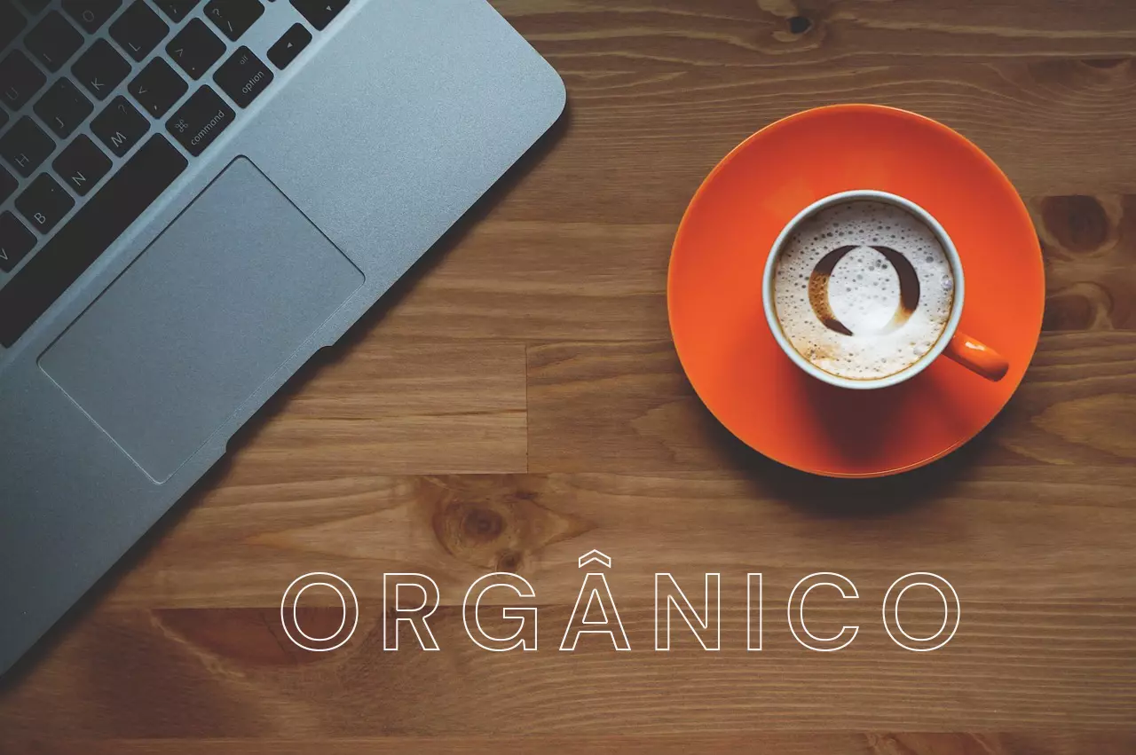 SEO Trafego organico com a empresa Otus Media Marketing Digital de Curitiba Parana
